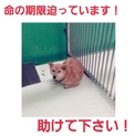とっても素敵な新しい家族のもとへ!!