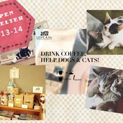 LOVE & Co. オープンシェルターDAYS