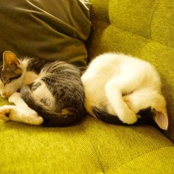 LOVE & Co. オープンシェルターDAYS サムネイル3