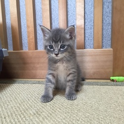 育ち盛り