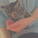 甘えん坊さん