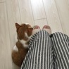 の写真