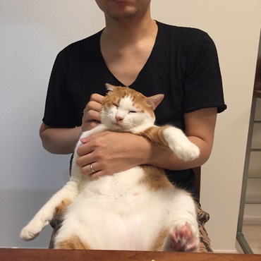 メソの写真