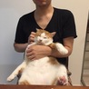 の写真