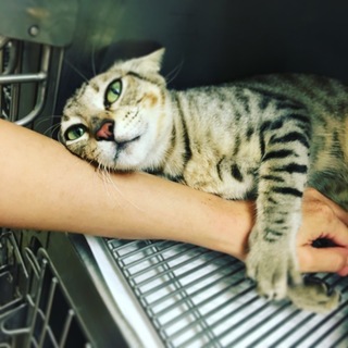 人が大好き♡甘えん坊な男の子