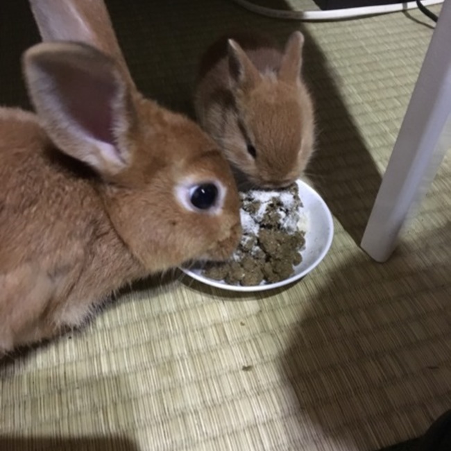 ゆの1212のカバー写真