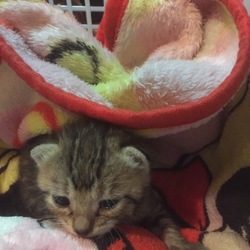 はじめまして