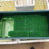 の写真