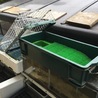 の写真