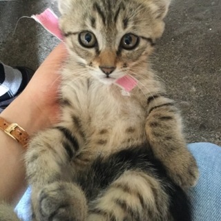 周りをよく観察するおとなしい女の子