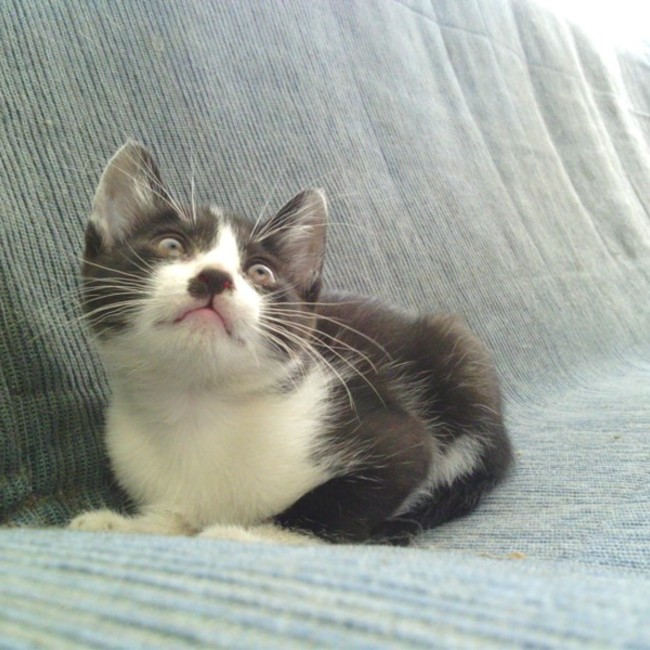 南国。のカバー写真