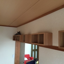 キャットウォーク完成！