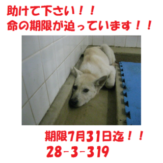 ご縁をいただきました(*^-^*)感謝♪