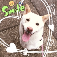 こうめ