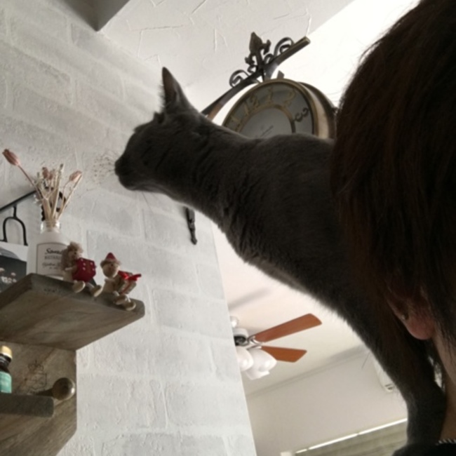 空良のカバー写真