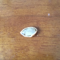 「おやつにかぼちゃ種」サムネイル3