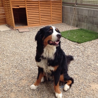 優しくてカワイイ女の子です。