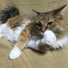 の写真