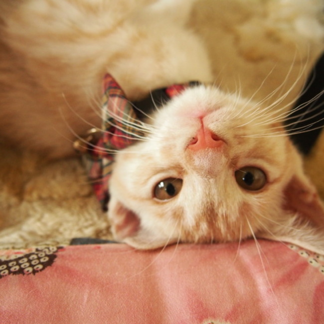 s.watanabeのカバー写真