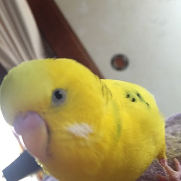 小さい時から写真撮られ慣れしていて、撮って撮ってと喜びます。