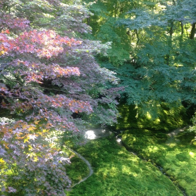 ちょたろうのカバー写真