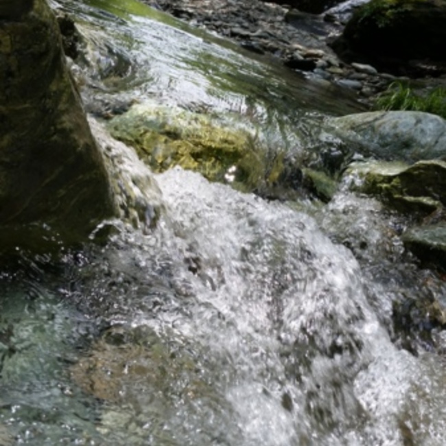 8778ねるねのカバー写真