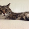 あづちゃん