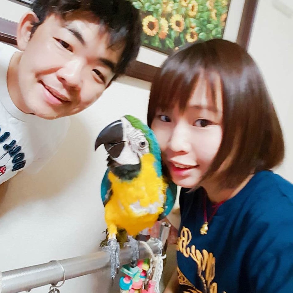 キキのカバー写真