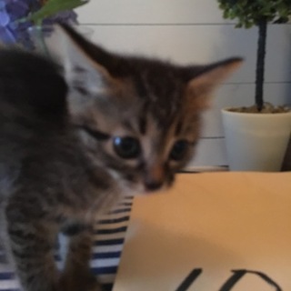 仲良し姉妹です