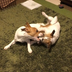 備忘録カノン④