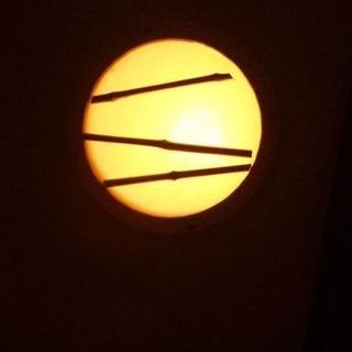 スチュワートスネークヘッド