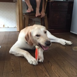 「大きくなったコルト君と小さくなったガジガジ」サムネイル2