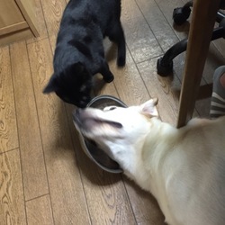 「チェロくんかくれんぼ♪」サムネイル2