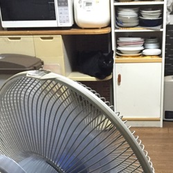 「チェロくんかくれんぼ♪」サムネイル3