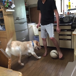 サッカー大会と船漕ぐコルト