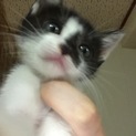 6月6日生まれです