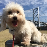 幸奈