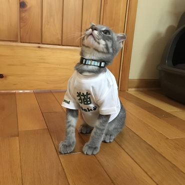 Ｔシャツ作ってもらったよ！