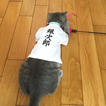 背中には男らしく名前が(･∀･)