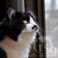 レプン・カムイ