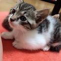 元気いっぱいな男の子