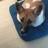 の写真