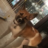 の写真