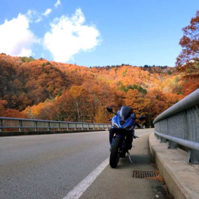 ゆきりん＠SNOWのカバー写真