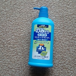 「雅(みやび)、初めてのシャンプー」サムネイル2