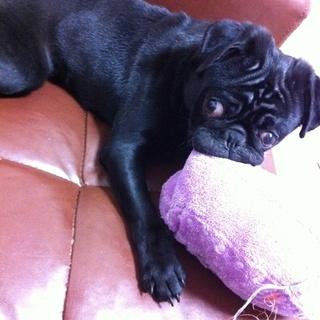 御応募頂きまして、ありがとうございました。