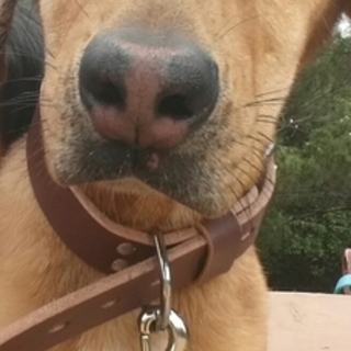 可愛いがってくれる方宜しくお願い致します(;_;)