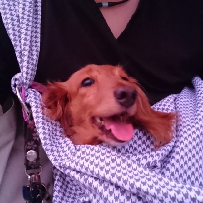 rey731のカバー写真