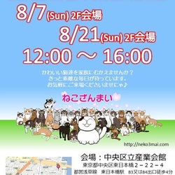 東日本橋☆８月７日(日)『ねこざんまい譲渡会』12時スタート！子猫ちゃんたちも参加します