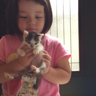 ありがとうございました